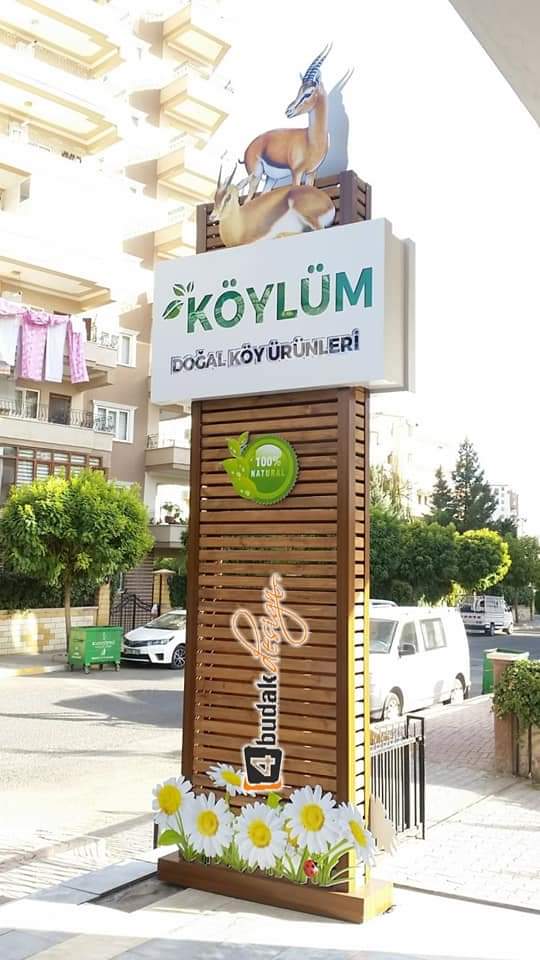 Koylum